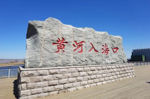 东营市一日游最好地方，东营一日游攻略！