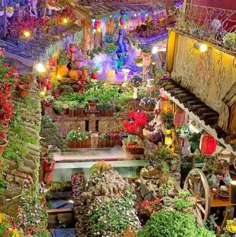 丽江本地人常去的餐厅，丽江本地人爱去的餐厅都在这！