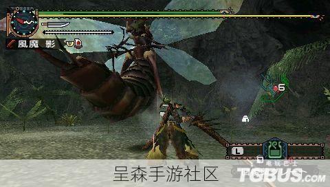 怪物猎人2G“女王蜂”任务触发条件与捕获讨伐攻略