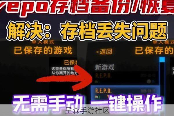 无双大蛇Z存档位置在哪里（Win10Win11）？存档替换与使用教程