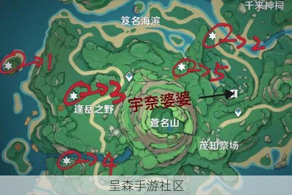 原神鹤观_渊下宫“神秘祭坛”解谜攻略（幽林雾道_知比山等）