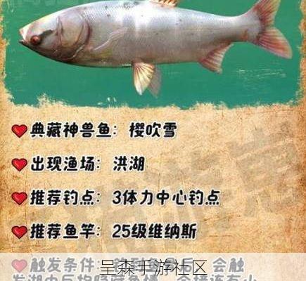 欢乐钓鱼大师传说鱼“幽灵鲨”出没时间确认，附独家钓饵配方