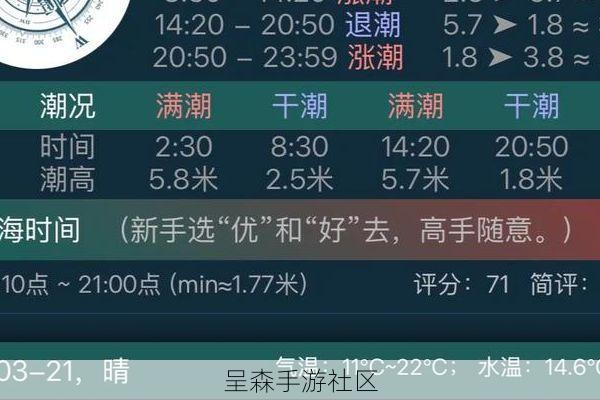 海滩赛车潮汐系统深度解析：涨潮时还敢抄这条近道？你的车会被直接吞没