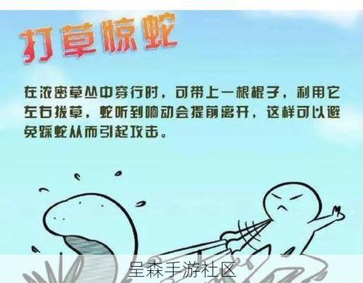 如何优雅地“围杀”一条百米长蛇?战术心理学教你请君入瓮