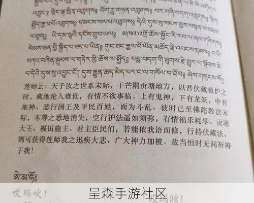 古龙语发音考据：念对咒文的重音，技能范围能扩大20%