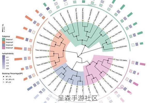 技能进化树别点歪!从灰色到红色的“质变节点”全标记